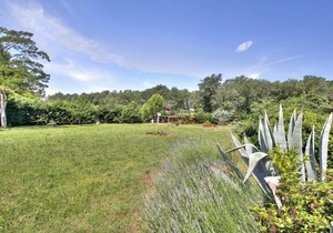 Apartment Branka - Monterol