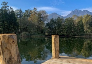 Apartment Carla in Carlazzo - 2 persons, 1 bedrooms