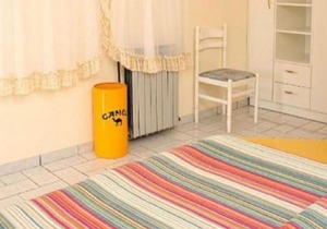Apartment Gojko - 50 m from the beach: A3(2) - Zivogosce, Riviera Makarska, Croatia