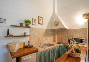 Apartment in Collesalvetti near Pisa
