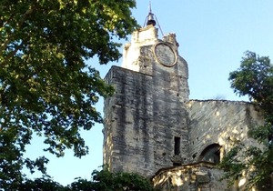 Apartment in the historic center of Avignon