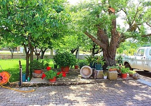 Apartment in Vrvari with One-Bedroom 3