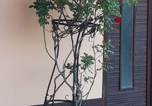 Apartment in Zalakaros 20650