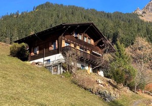 Apartment Jungfrau a d Ledi-1 by Interhome
