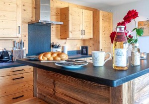 Apartment Montagnard 10 by Interhome