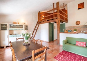 Apartment near Pisa, Beaches