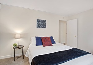 Apartment next to Zoo/Forest Park/WashU pets welcome ask about monthly price