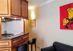 Apartment on Oscar Freire by Paulista and Clínicas