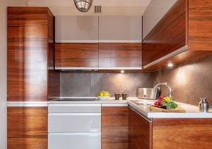 Apartment PLAC WILSONA 2