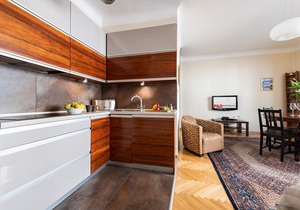 Apartment PLAC WILSONA 2