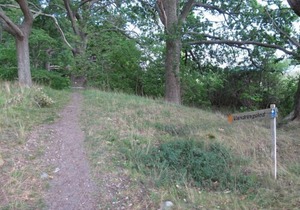 Apartment Stegeborg Norrkrog (OST100) in Vikbolandet - 5 persons, 2 bedrooms