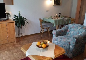 Apartment Typ B - 1 Schlafraum - Haus Almenrausch - Familie Schuster