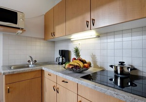 Apartment type 1 36m² - Haus Alpin