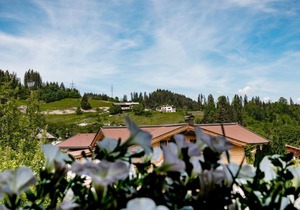 Apartment type 3 75m² - Haus Alpin