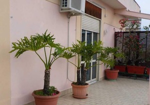 Apartment with beautiful terrace