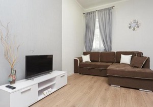Apartment Zhukovskogo 17