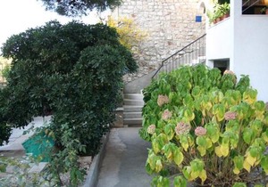 Apartments with parking space Mirca, Brac - 729