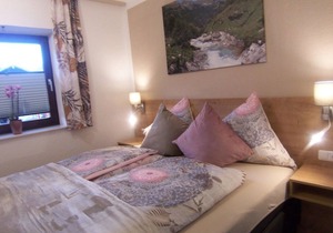 App-Vorstanddorf/1 bedroom/shower, WC - Pension Sonnblickhof *