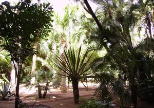 Appart avec vue Jardin/Majorelle