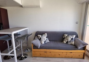 Appartement Climatisé 2 Pièces avec Terrasse et Parking - Classé 2 Étoiles - FR-1-326-690