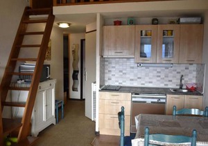 Appartement 2 Pièces Mezzanine avec Vue Panoramique, Balcon et Equipements Complets à Font-Romeu - FR-1-580-27