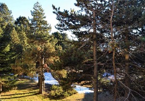 Appartement 3P pour 6 pers avec parking et cuisine équipée, exposé plein sud, près du golf - FR-1-580-32