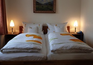 Appartment-Suite 11/ 3 Zimmer