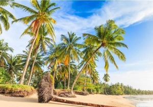 Apsara Deluxe - beautifully styled| 47 m²/506 ft² | DU#7