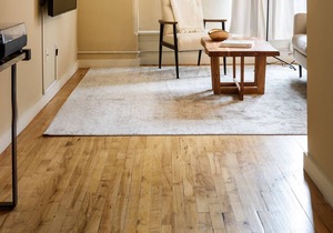 Arch, Dome, Dtown | Artsy Loft + Rooftop | Zencity