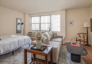 Arch, Dome, Dtown | Free Parking + Rooftop | Zencity