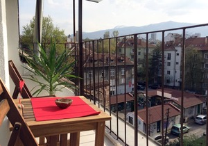 Artistic penthouse in walking distance to downtown.