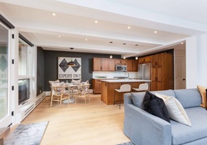 Aspen Core Renovated 2 BR, 2 BA with AC