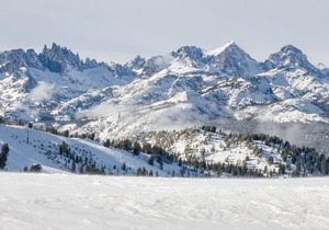 Aspen Creek #119