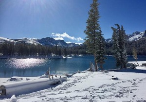 Aspen Creek #119