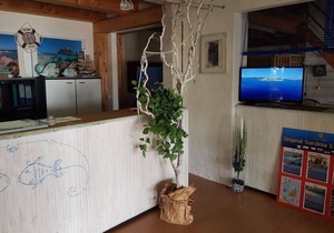 Attractive apartment in Olbia near sea
