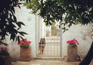 B&B Masseria Donna Carlotta