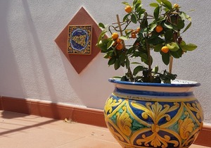 B&B Sicily in Love