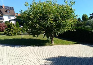 Balázs Apartman