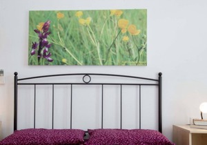 Ballerine 2 New apartment in a quiet residential area in Porto Azzurro