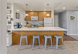 Beach Condo Shorebirds 263