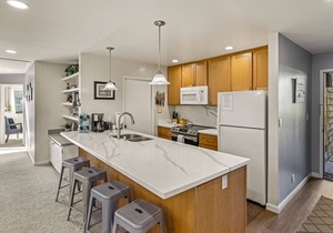 Beach Condo Shorebirds 263