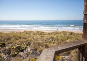 Beach Condo Shorebirds 196