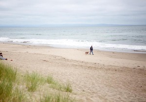 Beach Condo Shorebirds 11
