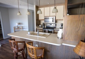 Beach Condo Shorebirds 211