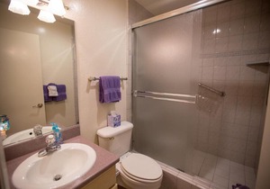 Beach Condo Shorebirds 175