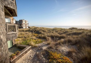 Beach Condo Shorebirds 175