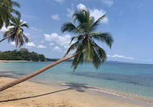 Beachfront Apartment Punta uva