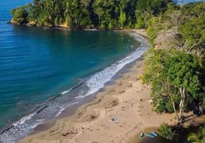 Beachfront Apartment Punta uva