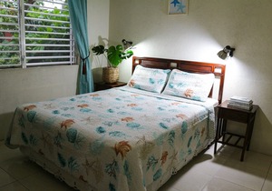 Beachside Apartment #1 - steps from the beach!