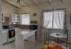 Beachside Apartment #1 - steps from the beach!